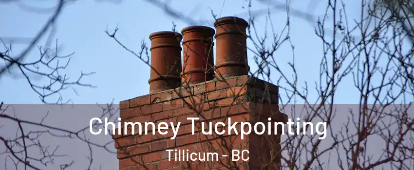  Chimney Tuckpointing Tillicum - BC