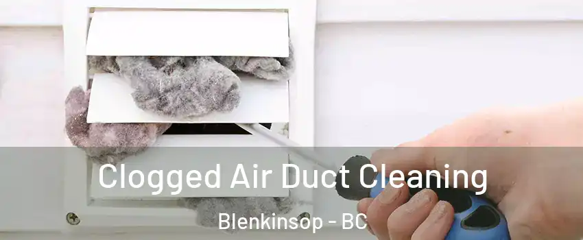 Clogged Air Duct Cleaning Blenkinsop - BC