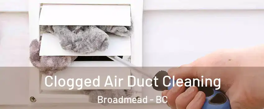  Clogged Air Duct Cleaning Broadmead - BC