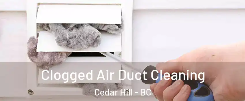  Clogged Air Duct Cleaning Cedar Hill - BC