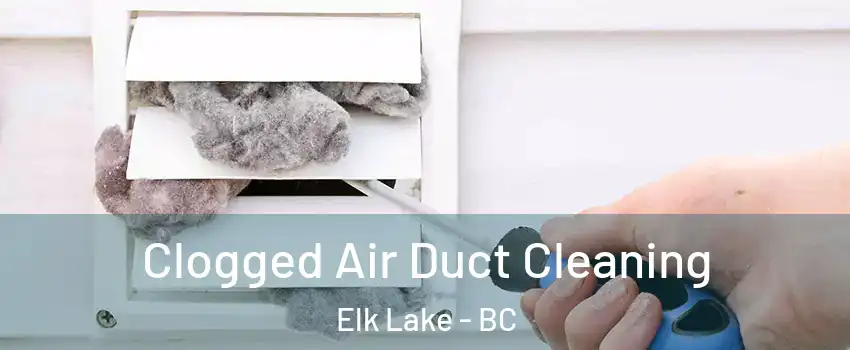  Clogged Air Duct Cleaning Elk Lake - BC