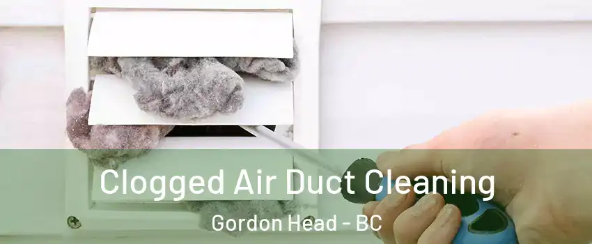  Clogged Air Duct Cleaning Gordon Head - BC