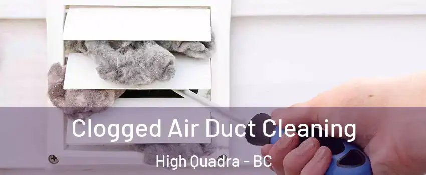  Clogged Air Duct Cleaning High Quadra - BC