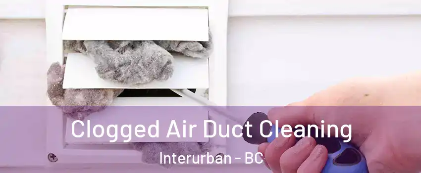Clogged Air Duct Cleaning Interurban - BC