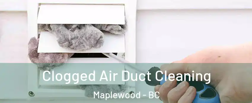  Clogged Air Duct Cleaning Maplewood - BC