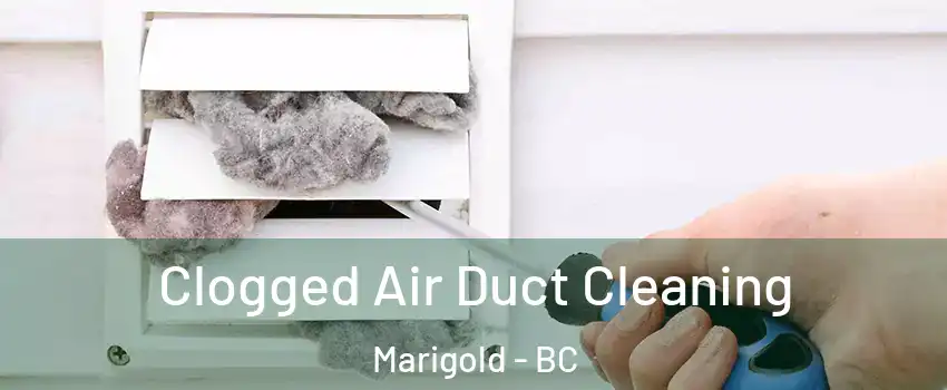 Clogged Air Duct Cleaning Marigold - BC