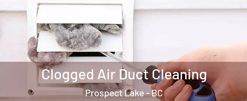 Clogged Air Duct Cleaning Prospect Lake - BC
