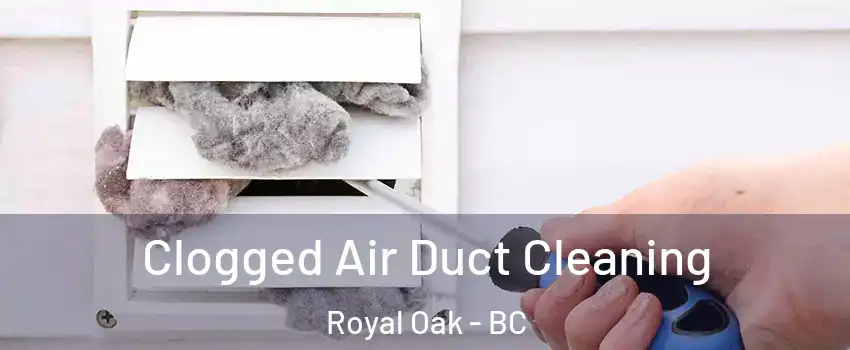  Clogged Air Duct Cleaning Royal Oak - BC