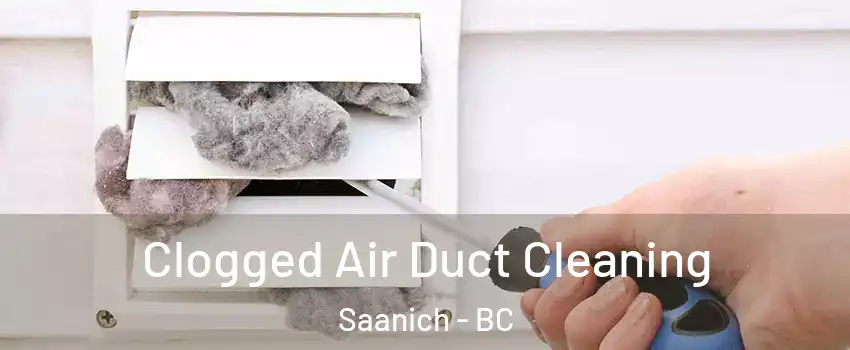  Clogged Air Duct Cleaning Saanich - BC