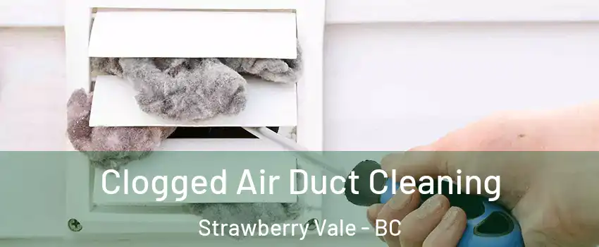 Clogged Air Duct Cleaning Strawberry Vale - BC