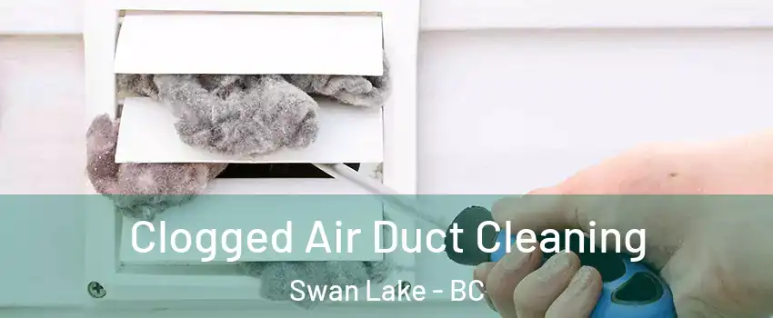  Clogged Air Duct Cleaning Swan Lake - BC