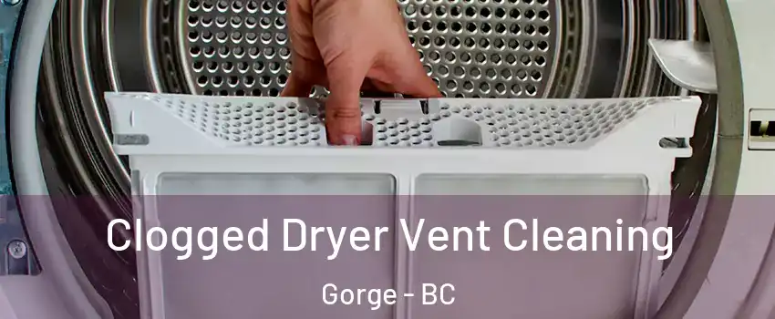  Clogged Dryer Vent Cleaning Gorge - BC