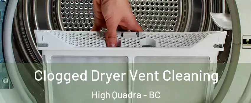  Clogged Dryer Vent Cleaning High Quadra - BC