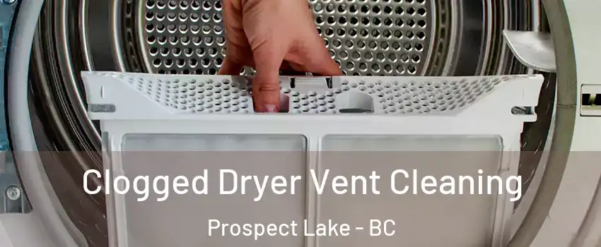  Clogged Dryer Vent Cleaning Prospect Lake - BC