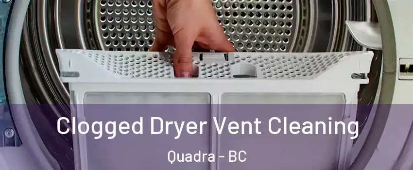 Clogged Dryer Vent Cleaning Quadra - BC