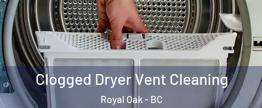  Clogged Dryer Vent Cleaning Royal Oak - BC