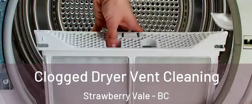  Clogged Dryer Vent Cleaning Strawberry Vale - BC