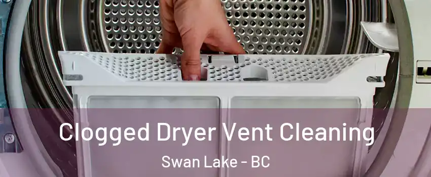  Clogged Dryer Vent Cleaning Swan Lake - BC