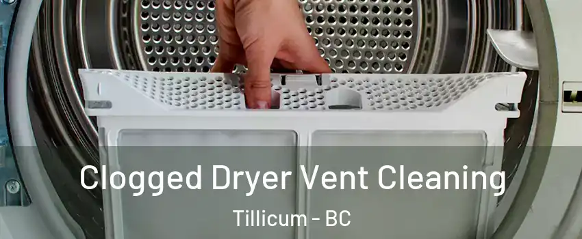 Clogged Dryer Vent Cleaning Tillicum - BC