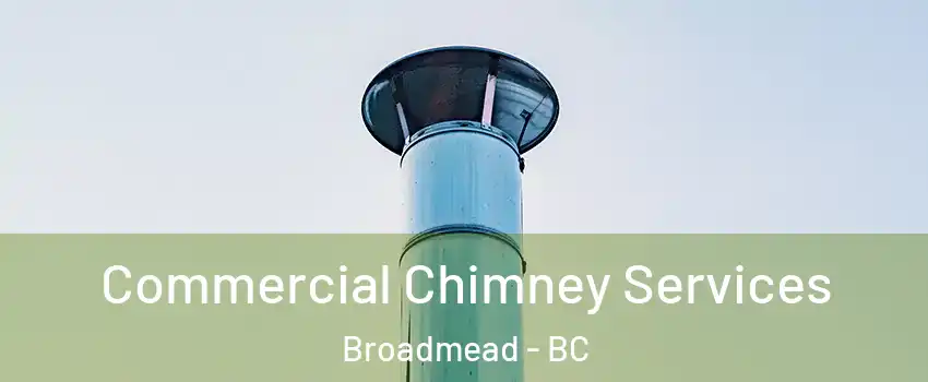  Commercial Chimney Services Broadmead - BC