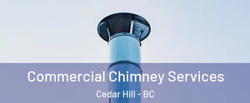  Commercial Chimney Services Cedar Hill - BC
