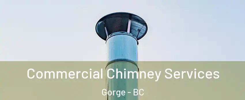  Commercial Chimney Services Gorge - BC