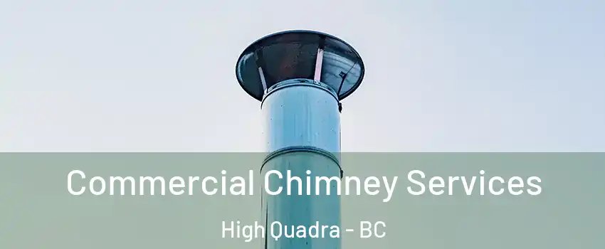  Commercial Chimney Services High Quadra - BC