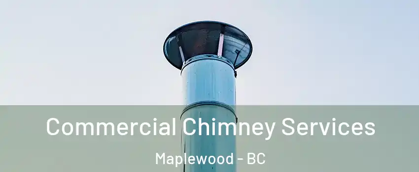  Commercial Chimney Services Maplewood - BC