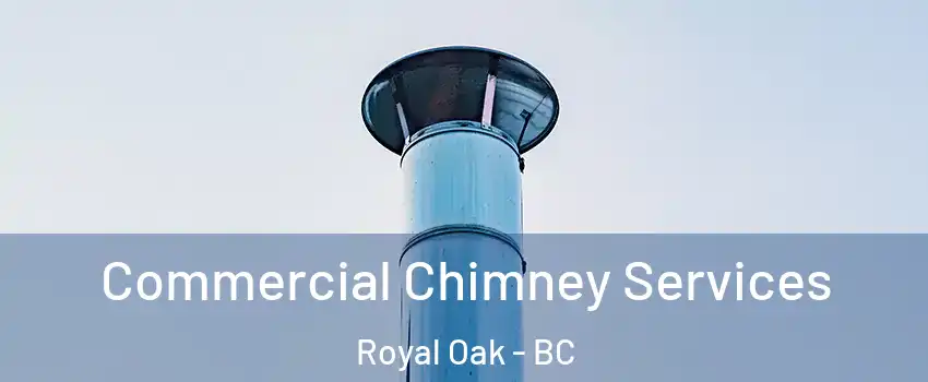 Commercial Chimney Services Royal Oak - BC