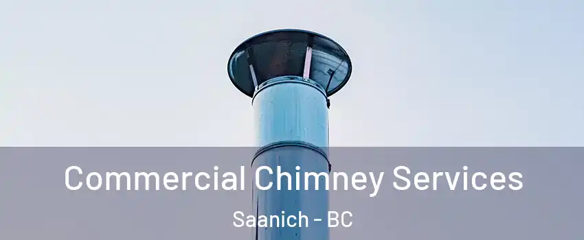 Commercial Chimney Services Saanich - BC