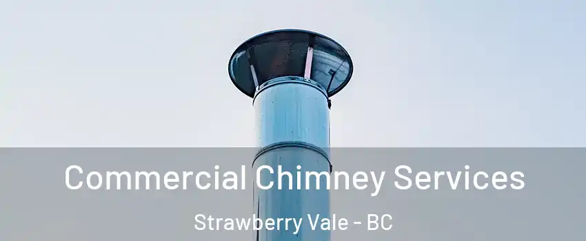  Commercial Chimney Services Strawberry Vale - BC