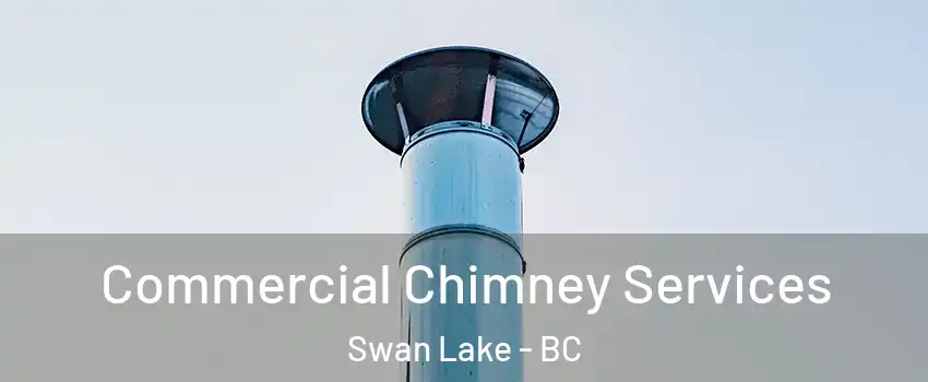 Commercial Chimney Services Swan Lake - BC