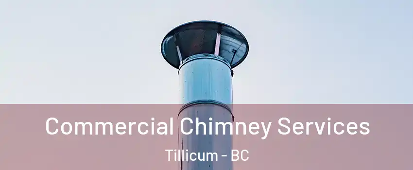  Commercial Chimney Services Tillicum - BC