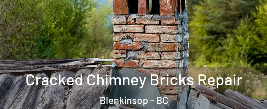  Cracked Chimney Bricks Repair Blenkinsop - BC