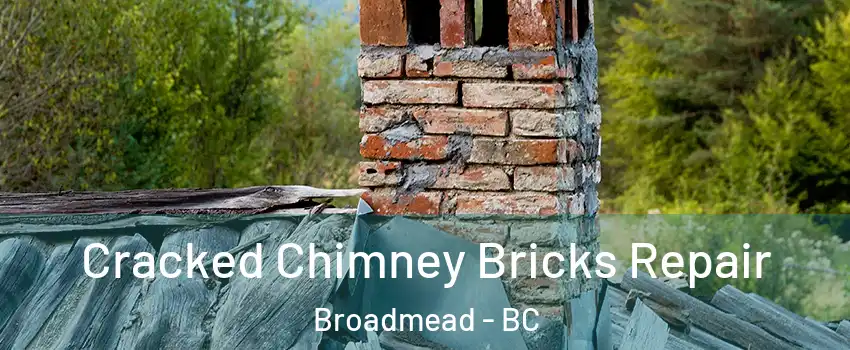  Cracked Chimney Bricks Repair Broadmead - BC