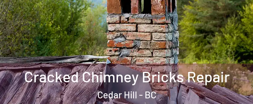  Cracked Chimney Bricks Repair Cedar Hill - BC