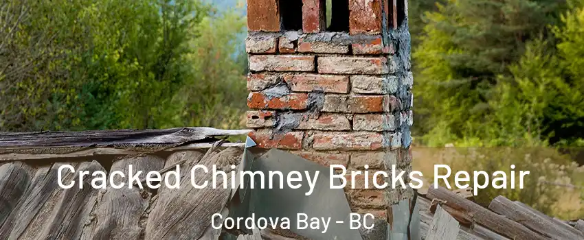  Cracked Chimney Bricks Repair Cordova Bay - BC