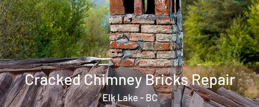  Cracked Chimney Bricks Repair Elk Lake - BC