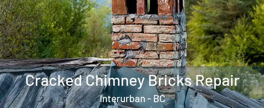  Cracked Chimney Bricks Repair Interurban - BC