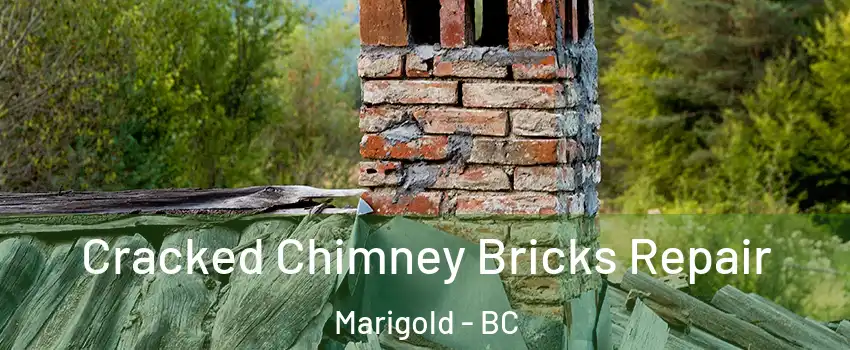  Cracked Chimney Bricks Repair Marigold - BC