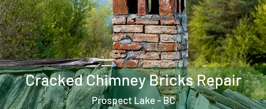  Cracked Chimney Bricks Repair Prospect Lake - BC