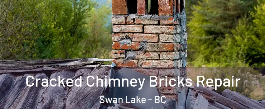  Cracked Chimney Bricks Repair Swan Lake - BC