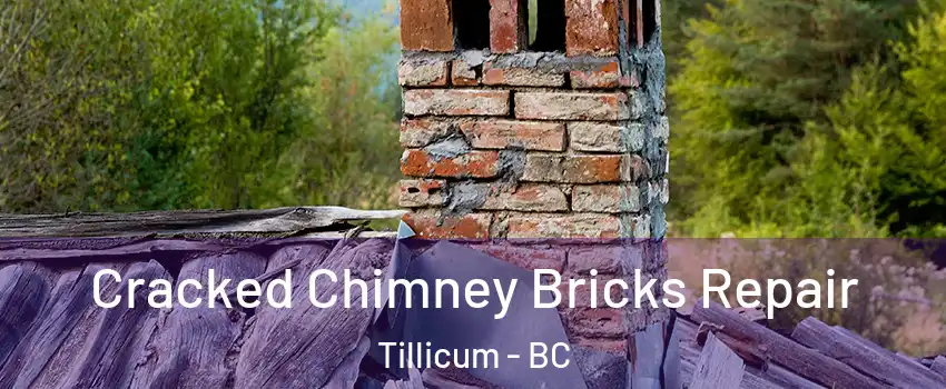  Cracked Chimney Bricks Repair Tillicum - BC
