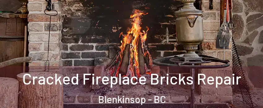Cracked Fireplace Bricks Repair Blenkinsop - BC