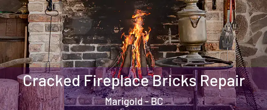  Cracked Fireplace Bricks Repair Marigold - BC