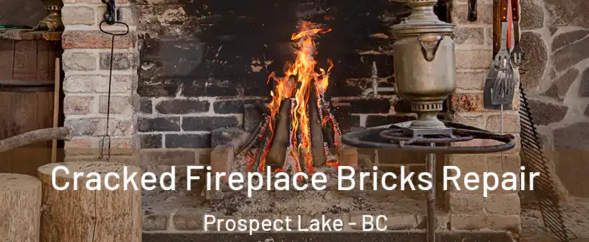 Cracked Fireplace Bricks Repair Prospect Lake - BC