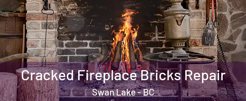  Cracked Fireplace Bricks Repair Swan Lake - BC