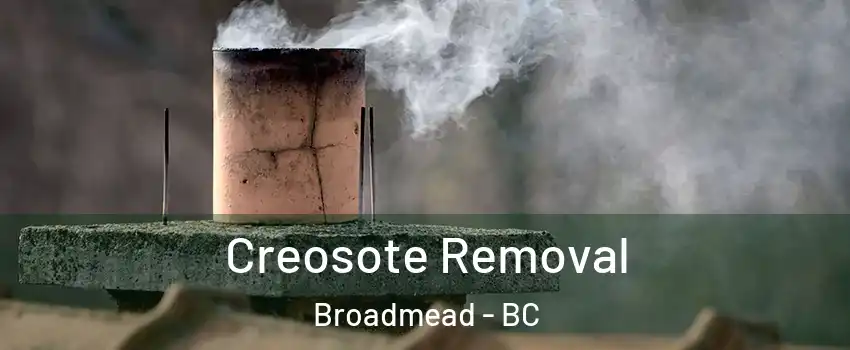  Creosote Removal Broadmead - BC