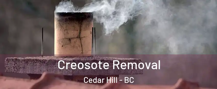  Creosote Removal Cedar Hill - BC