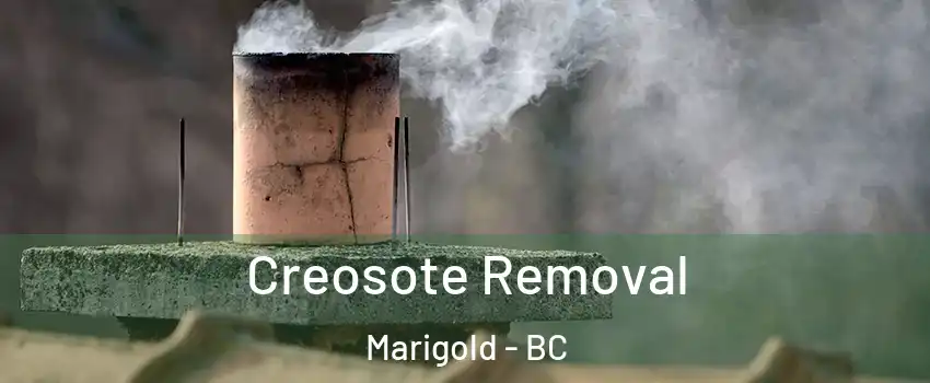  Creosote Removal Marigold - BC